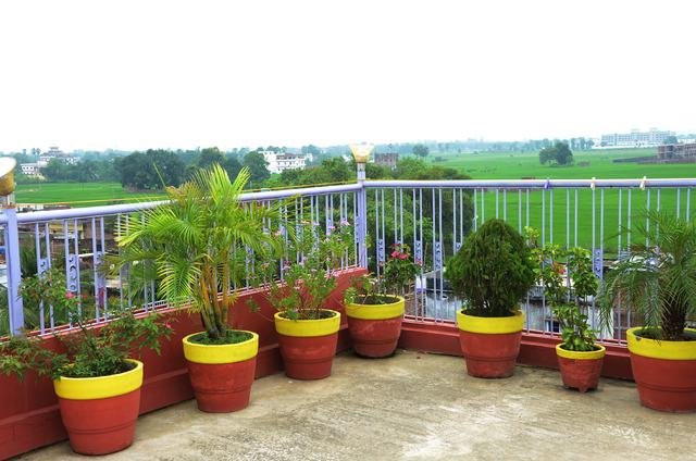 Rooftop View